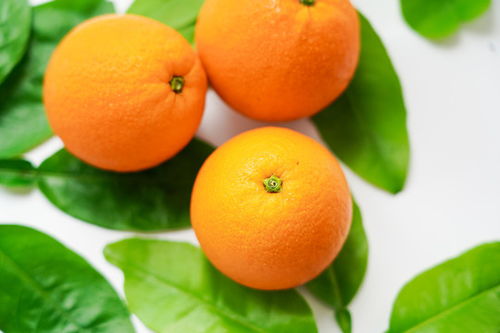 贛南臍橙——優(yōu)質(zhì)果品圖片素材，助力食品餐飲設(shè)計