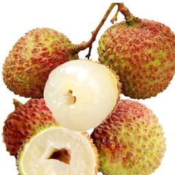 中國果品網(wǎng) 連接果品產(chǎn)業(yè)與消費者的橋梁