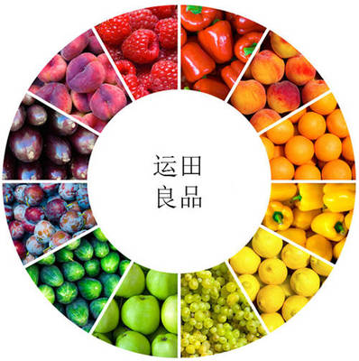 運田良品 有機新鮮，美味健康的蔬菜零售新選擇